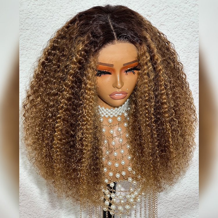 honey blonde highlights wig