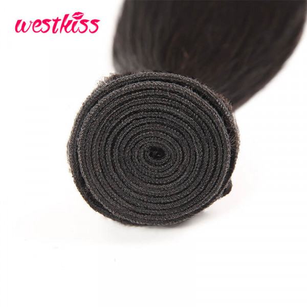 Human Hair Bundles