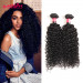 Brazilian Kinky Curly Hair