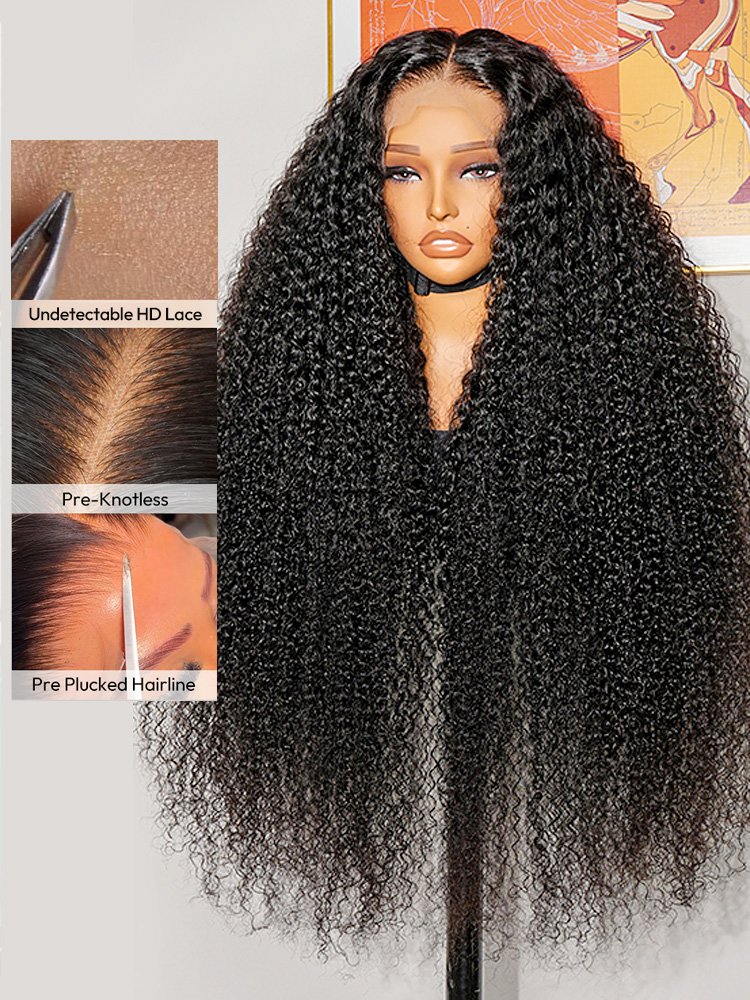 Pre-plucked Human Hair Wigs